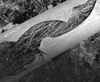 Blocked Drains Dandenong